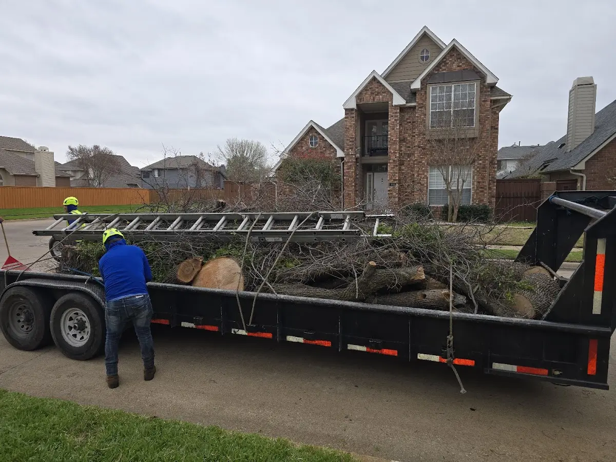 Expert Tree Fertilization with proper safety equipment in Bloomdale